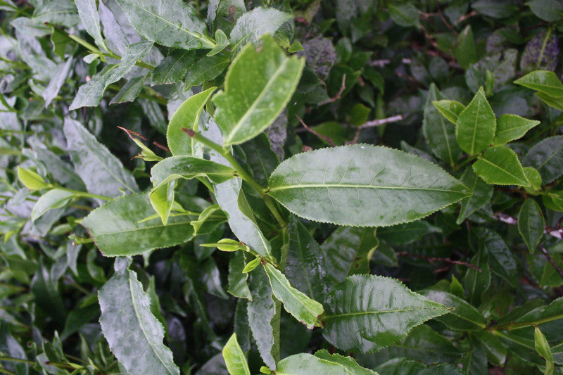 6-e1396610668804.jpg