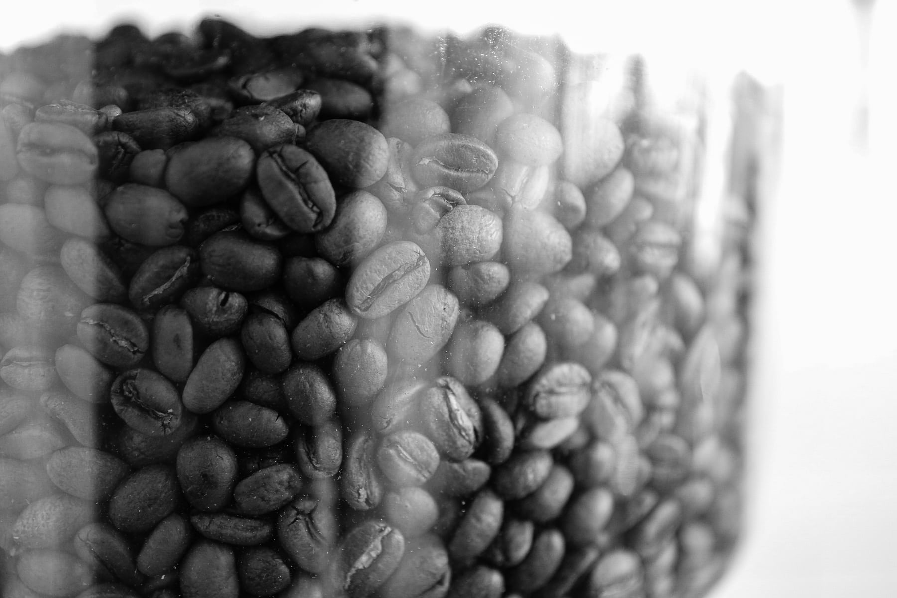 Beans.jpg
