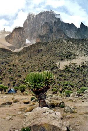 Mout-Kenya.jpg