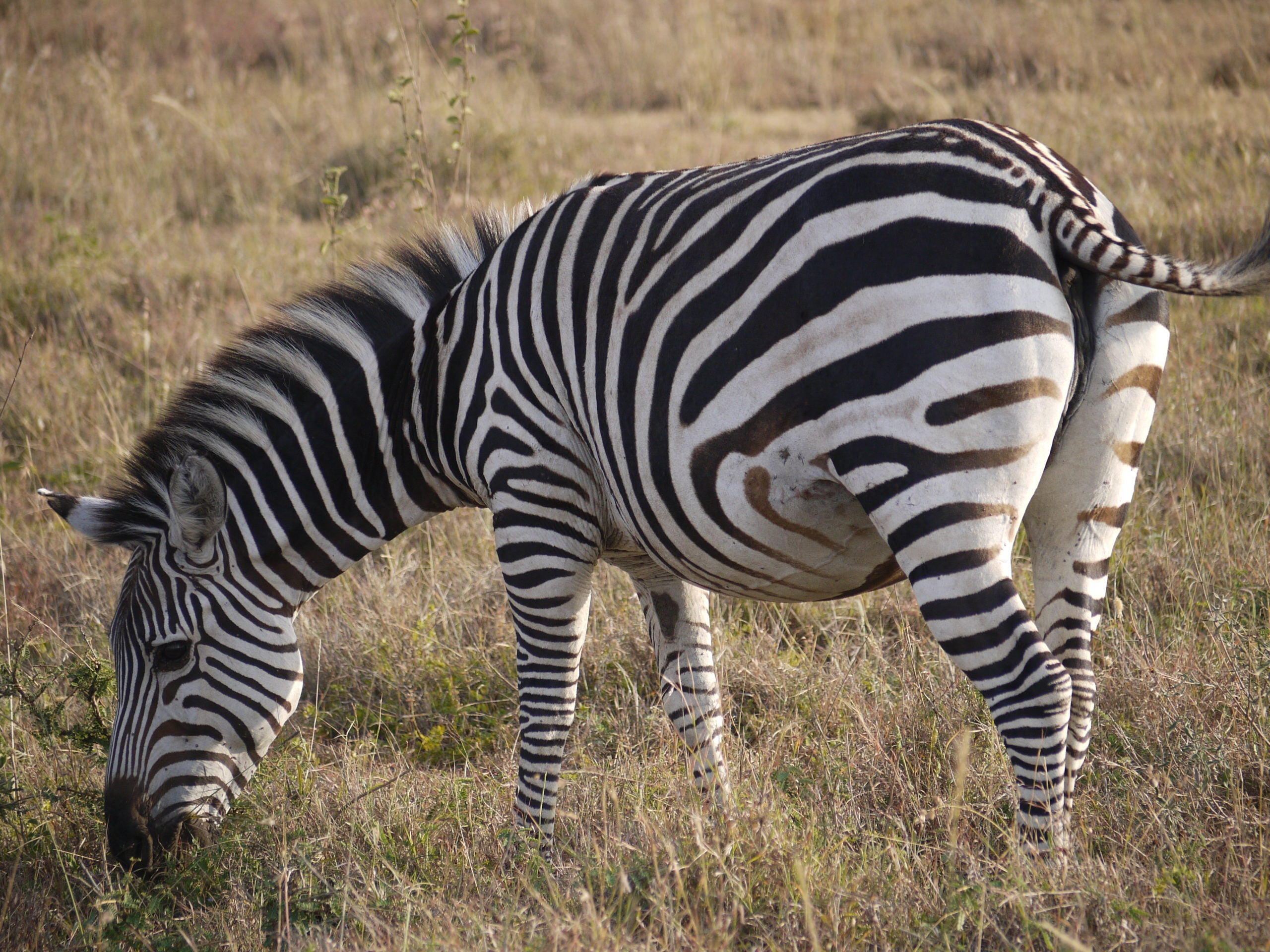 P1090857-scaled.jpg