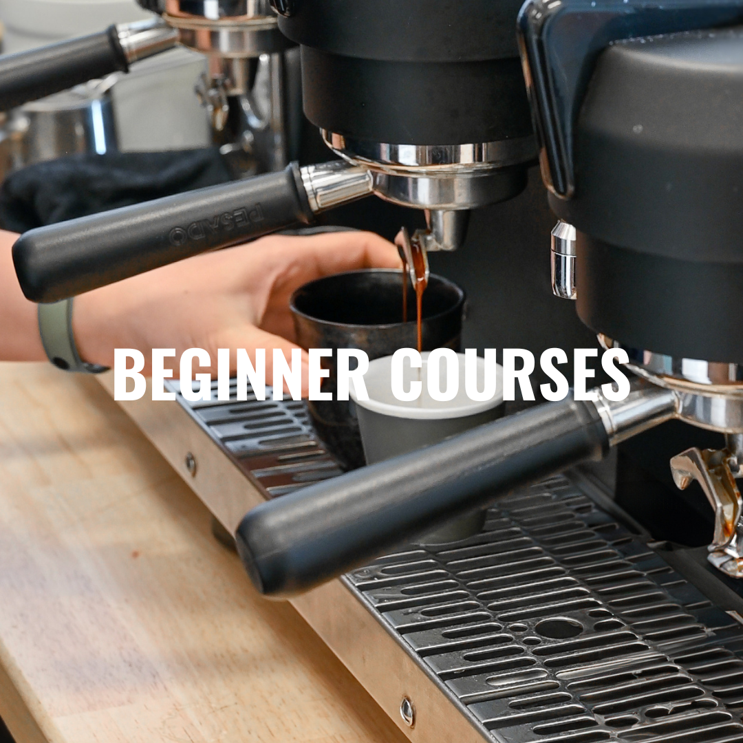 Beginner Courses