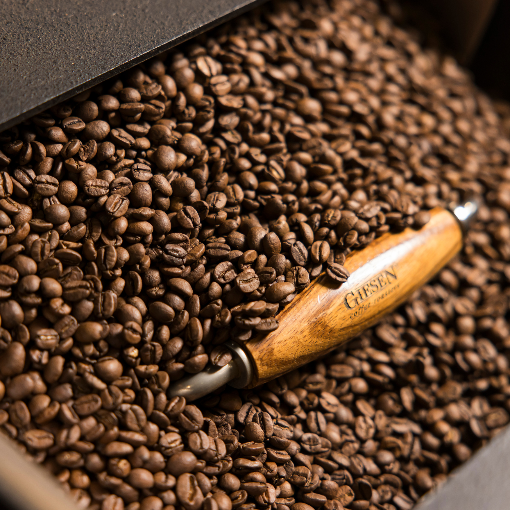 Coffee Roasting Course