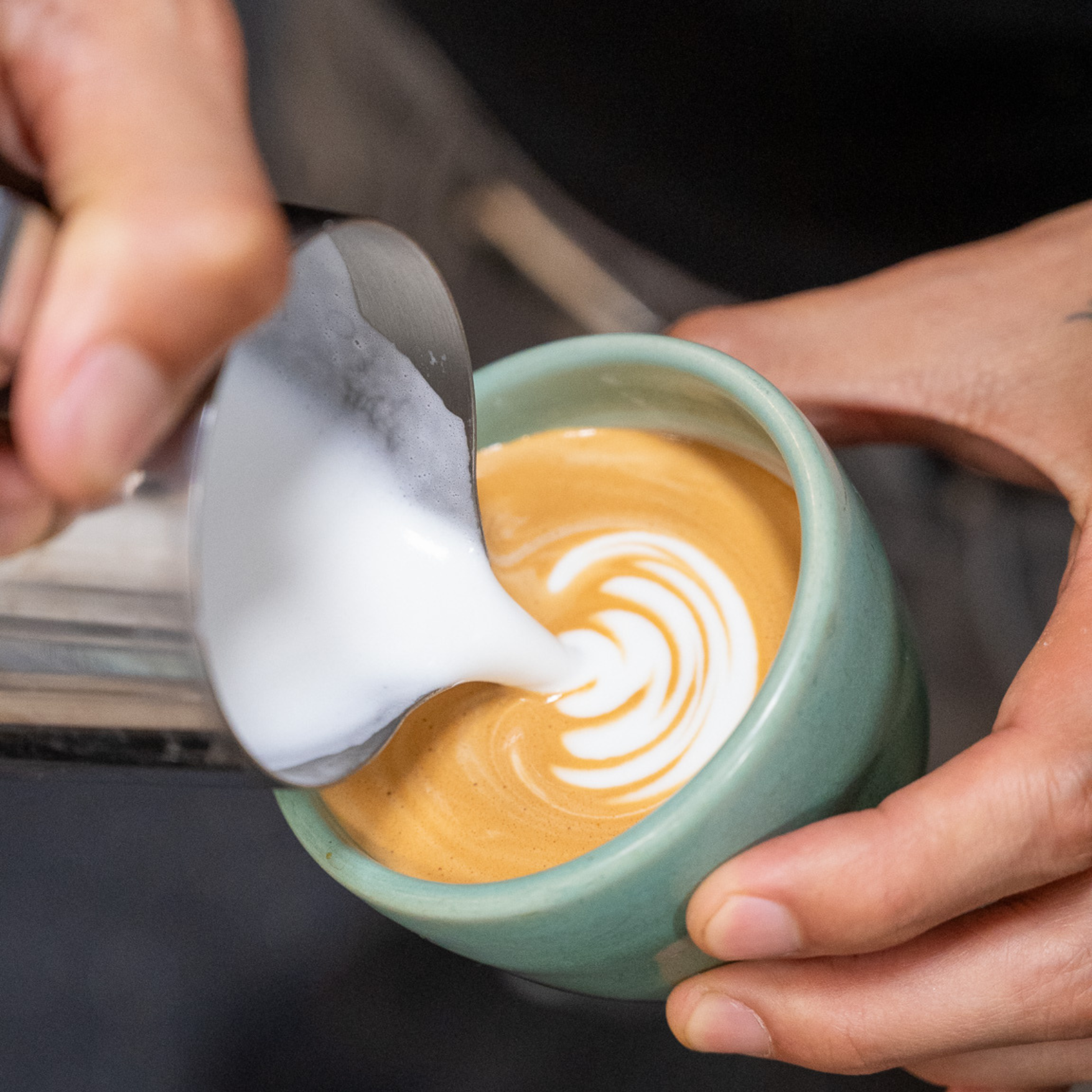 Barista Level 4 - Pro Bundle