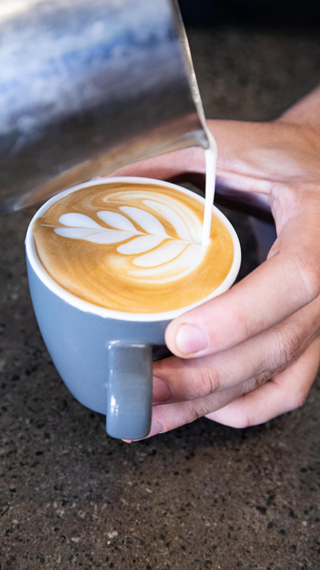 School Holiday - 1 Day - Cafe Boot Camp