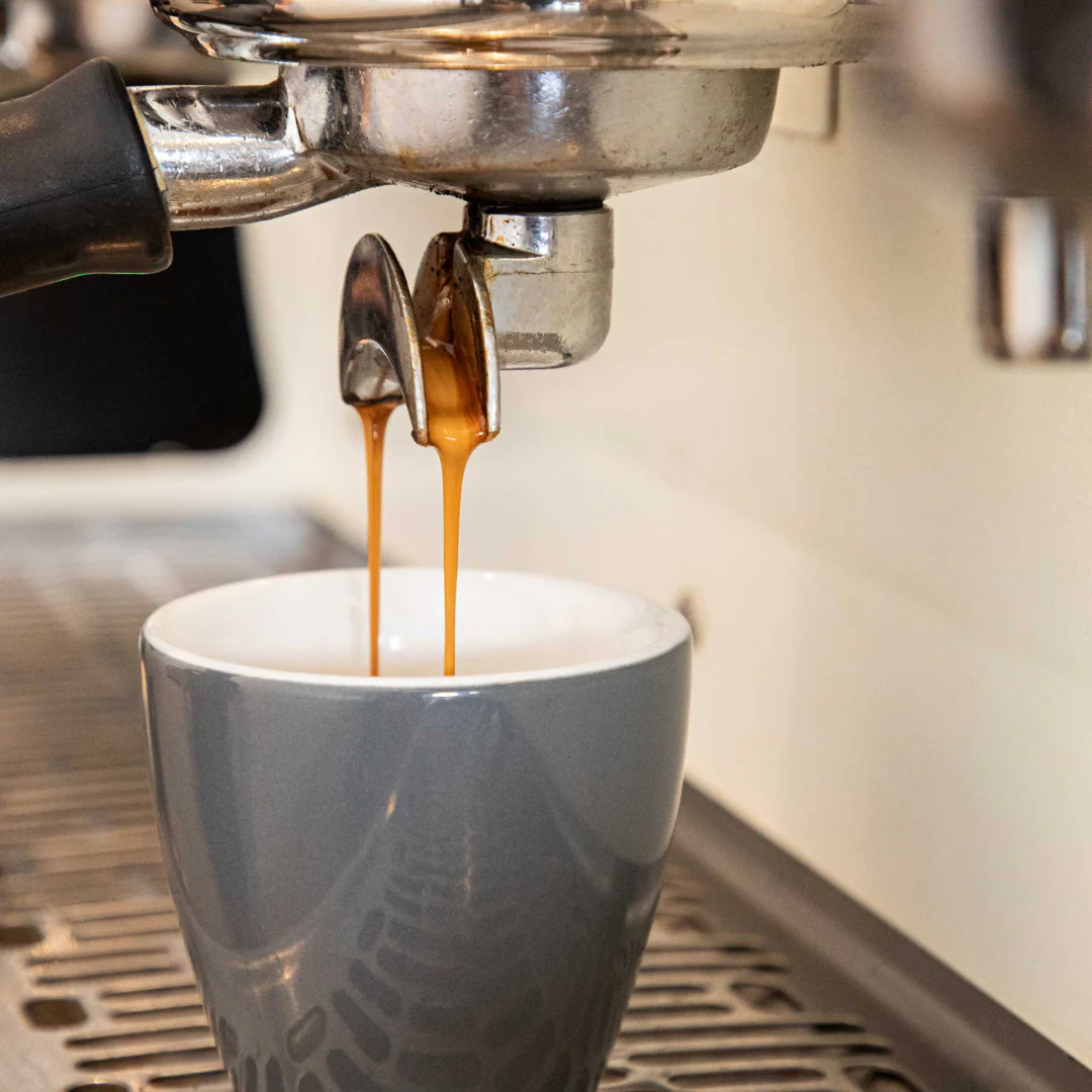 Foundation Barista Course