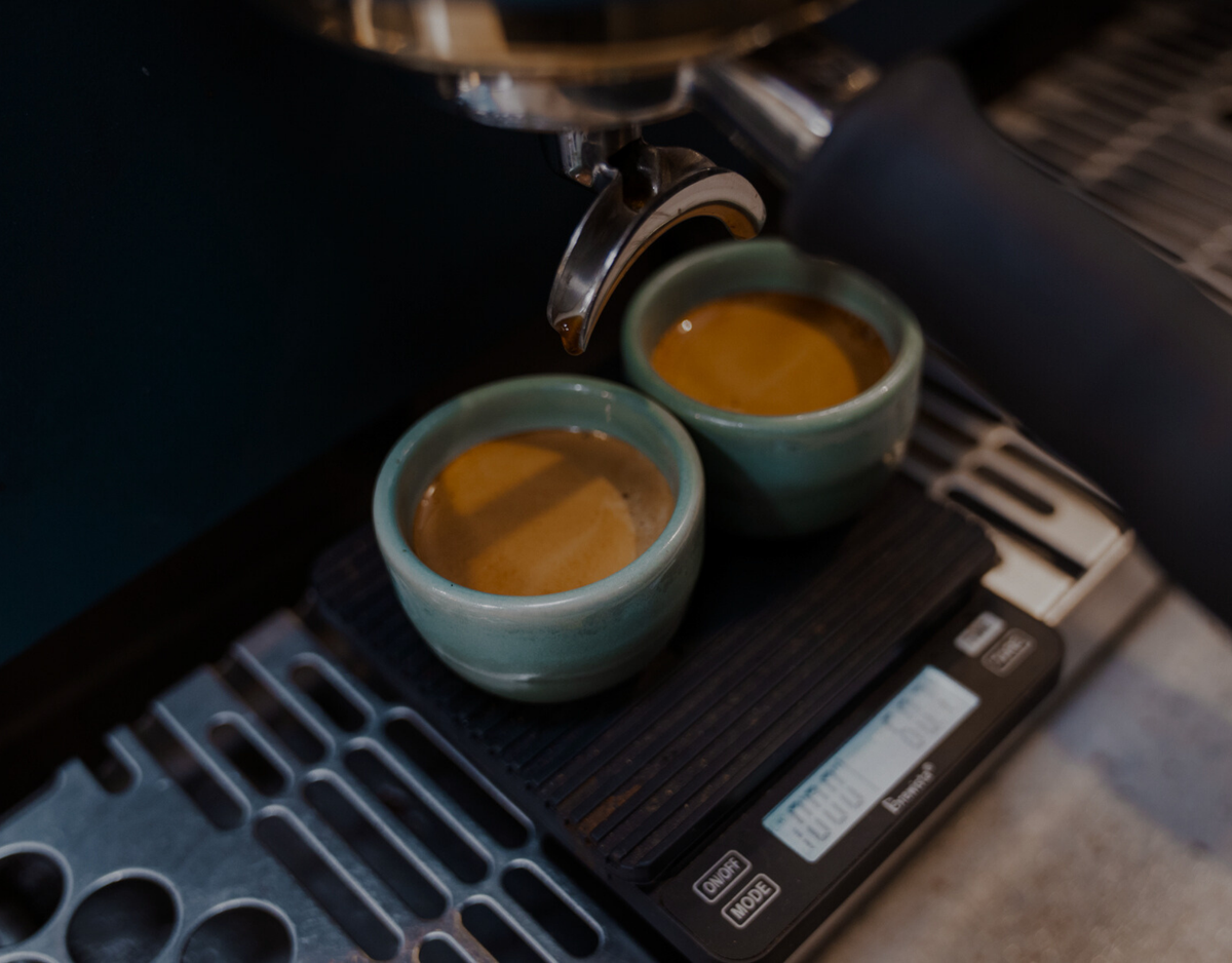 Advanced Barista