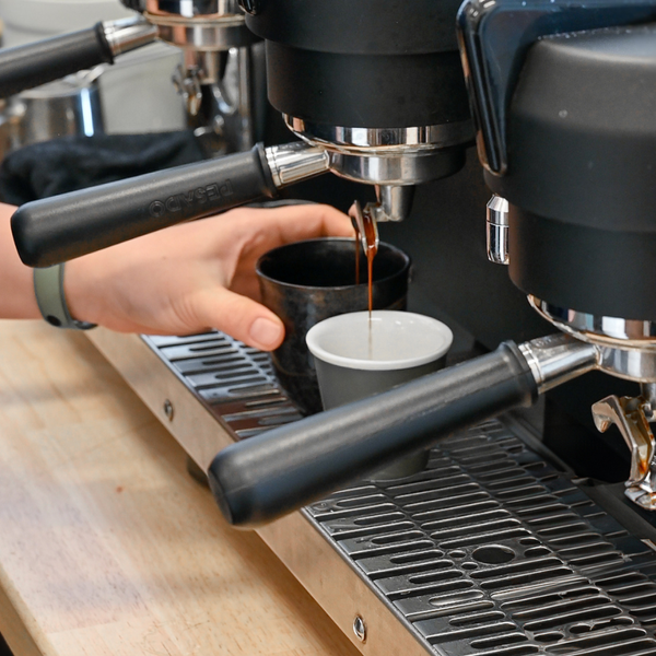 Intermediate Barista Course Sydney | 3-Hour Hands-On Training