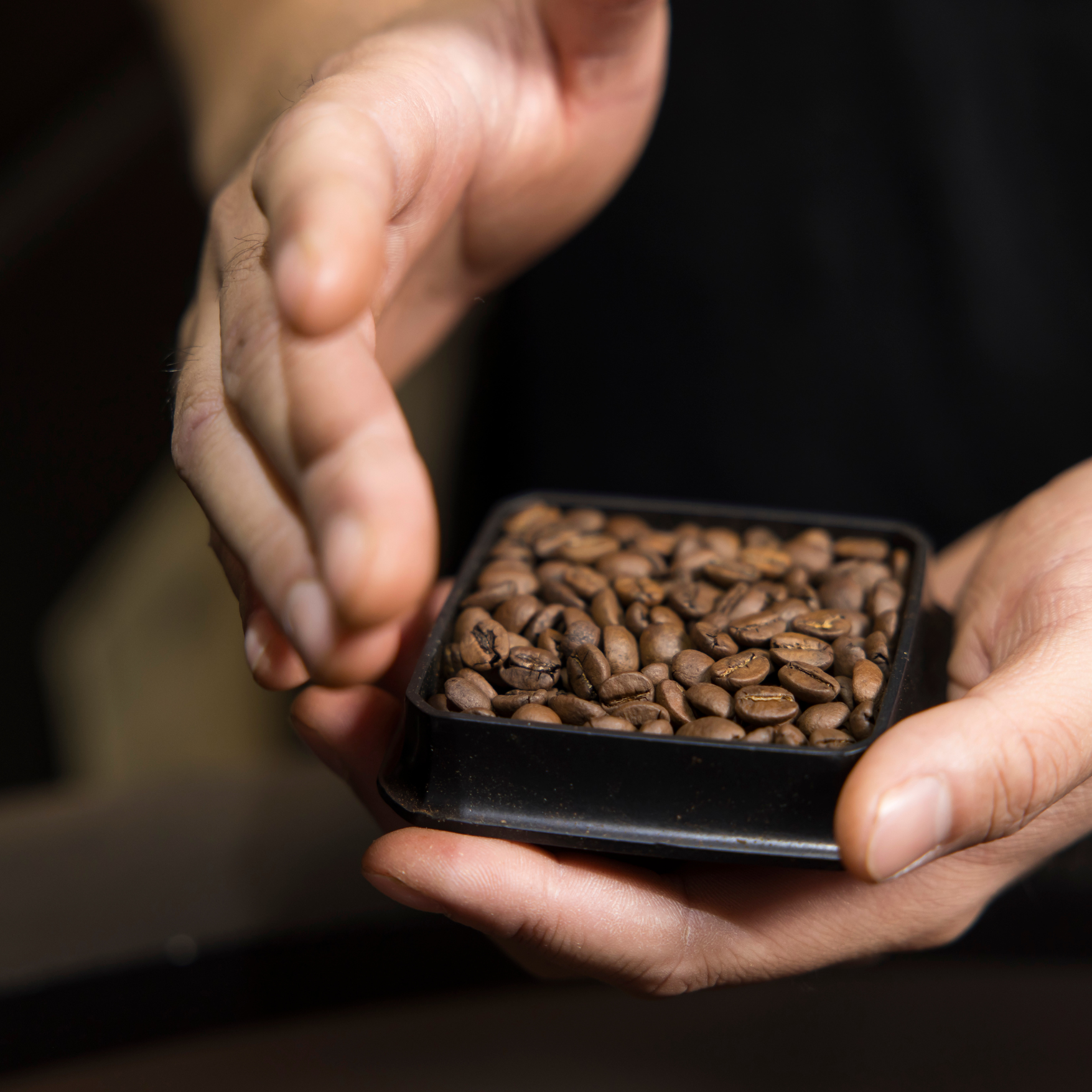 Fresh beans being roasted by Black Market Training