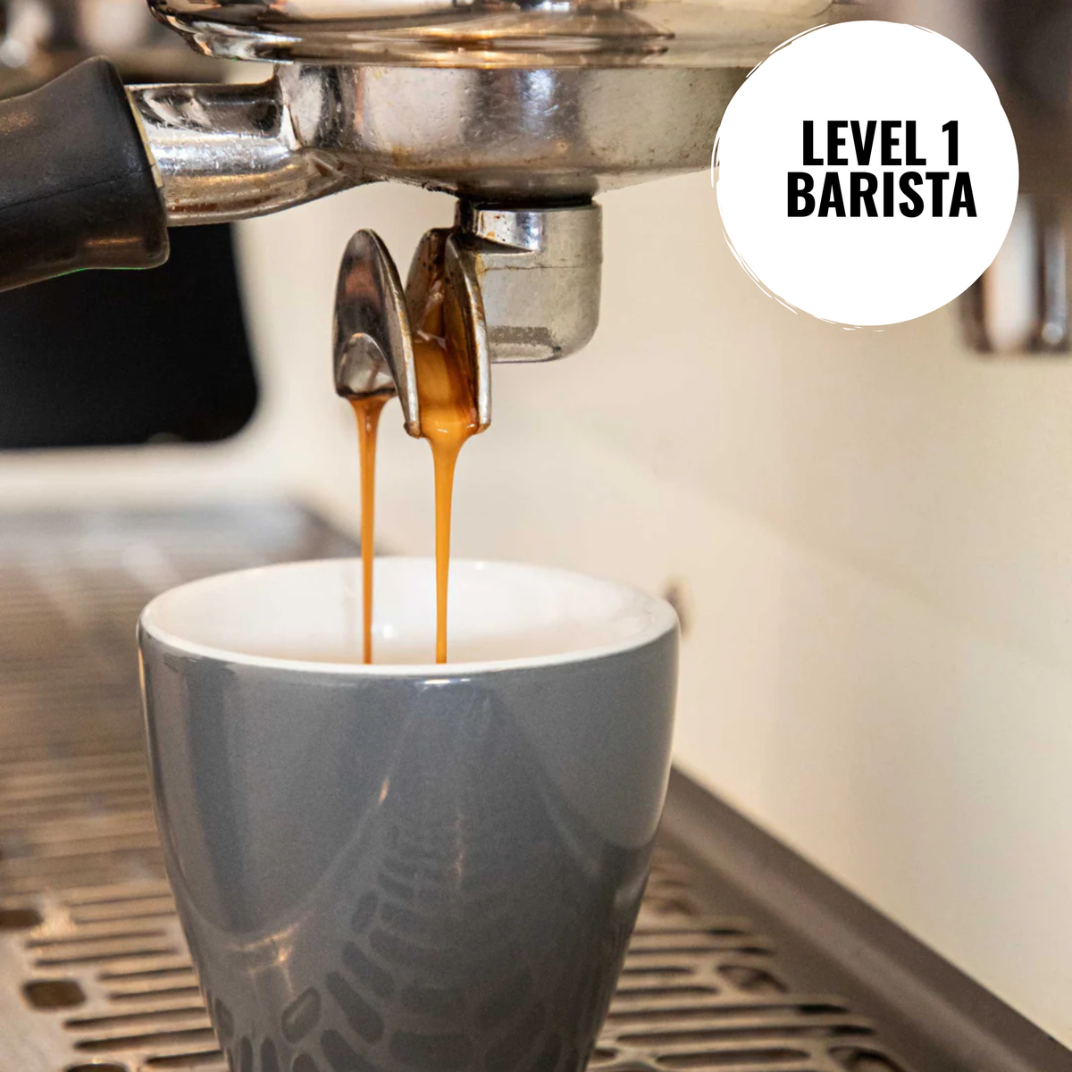 Barista Level 1 - Basic Barista Bundle
